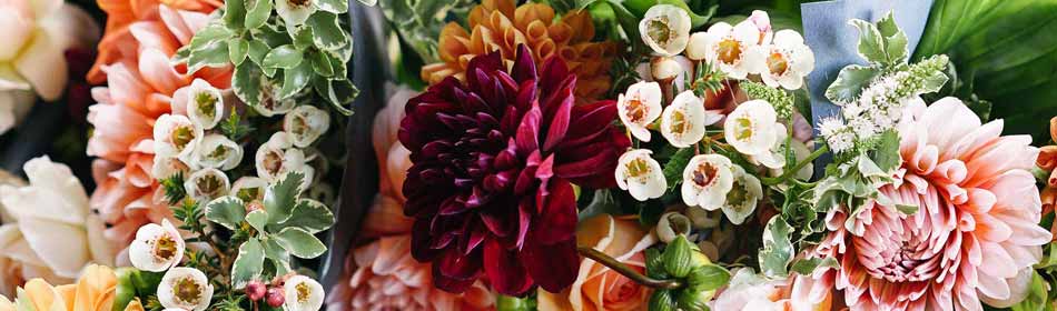 Florists, Floral Arrangements, Bouquets in the Bristol, Bucks County PA area